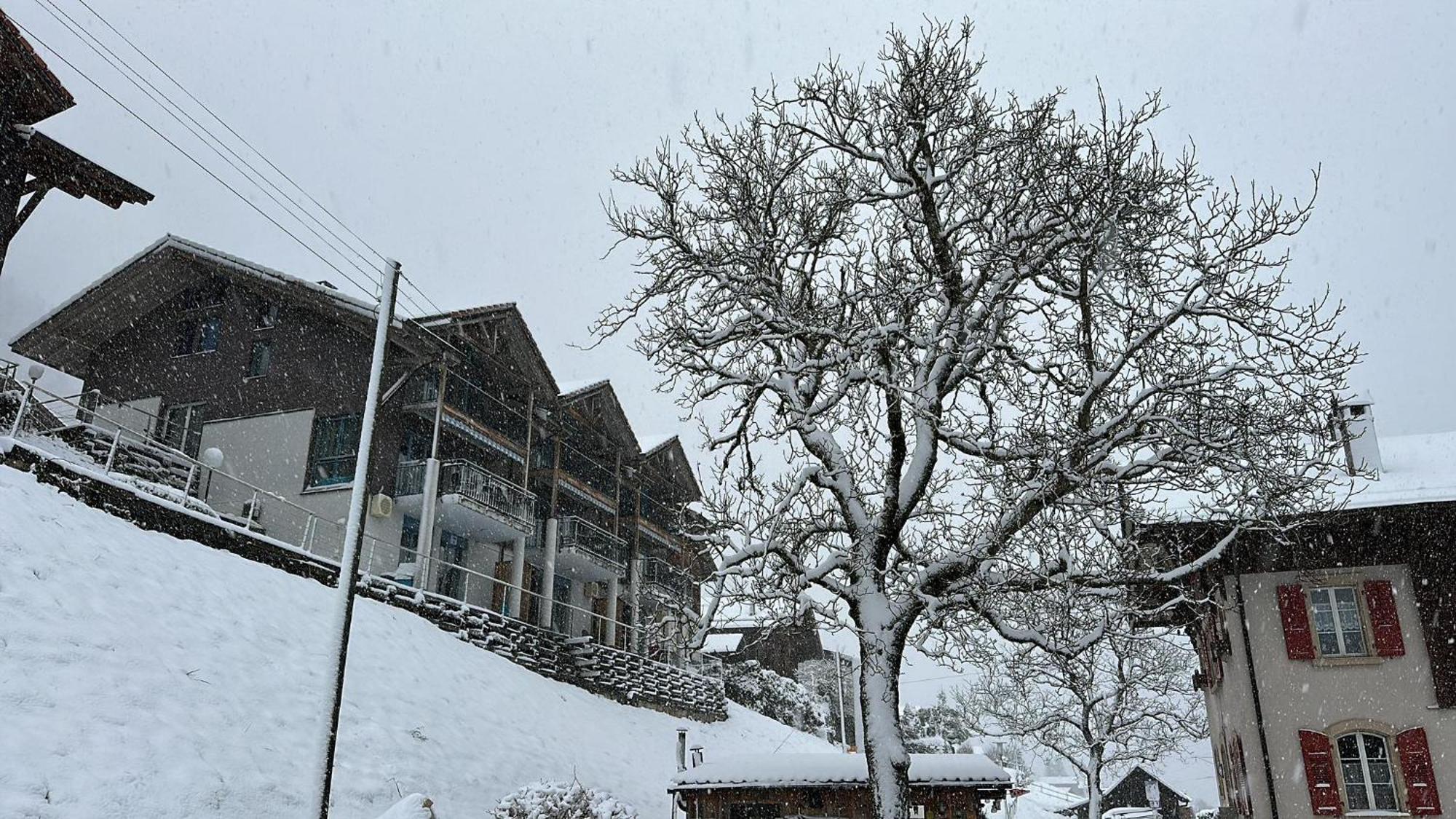 Lake View Residence Niederried bei Interlaken Exterior foto